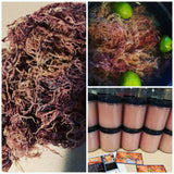 Full Spectrum Sea Moss Gel 16oz